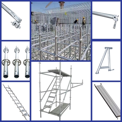 Precision Engineered Hot-dipped Galvanized 48mm Ringlock Wedge Pin Industrial Design and OEM Service